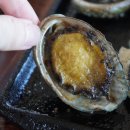 마린포트리조트 이미지