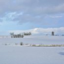 홋카이도 이미지