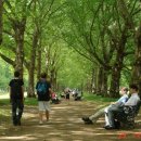 녹색환경 이미지