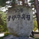 솔향이 진한 이미지