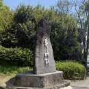 신례동로 | 제주 여행 필수 코스 수국 명소 휴애리 자연생활공원 관람 후기