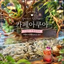 의정부 이색데이트 수족관카페 카페아쿠아랑 물고기체험 후기