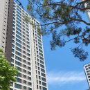 중앙동127 이미지