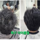 드라포레 기장일광점