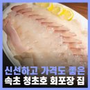 속초 회포장 횟집 속초해수욕장 정돈이네회짱포차