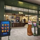 수원-1957 | [공지] 수원 타임빌라스 맛집] 한우대창전골로 활력 가득 채우고 온 행복 후기