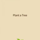 포레스트(Forest)