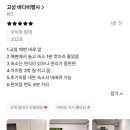 바다비행사 이미지