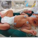 하진목장 이미지