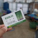 청정미나리영농조합 이미지