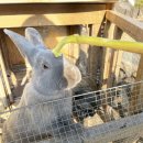 힐링빌리지 이미지