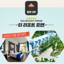 홈 앤 플레이스 이미지