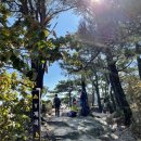 두 Y자(평일) 이미지