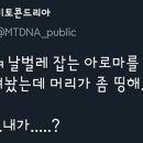 머리띵 이미지