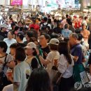 초록비타민 이미지