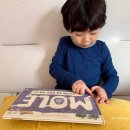 유아책놀이터6세 이미지