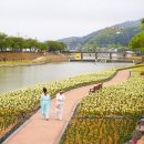 경천식물원 이미지