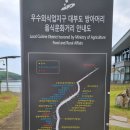 이런칼국수를보았나 이미지