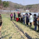 이성자농장 이미지