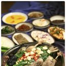 촌닭과오리 이미지