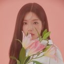 풀라이프투어 이미지