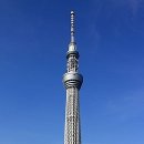 스카이모터 이미지