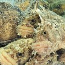 24시실내포장마차 이미지