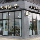 아리따울꽃 이미지