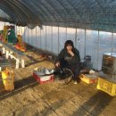 환희애육원 이미지