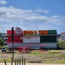 카멜세탁소 | 뚜벅이의 제주여행 Day4