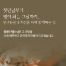 몽몽이 이미지
