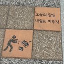 오월애 이미지