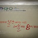 (개인)정성원 이미지