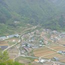 달래창 Daum카페