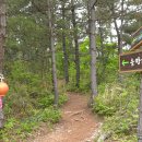 솔향기힐링펜션
