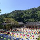 대원사 | 산청 지리산 대원사 계곡길 트래킹, 산청 방목리 카페 후기