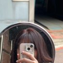 더퍼스트헤어미아
