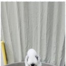 키티 앤 퍼피 이미지