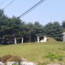 최용소선생묘 이미지