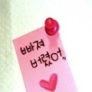 내가사케 Daum카페