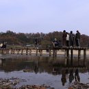 영주 무섬마을 이미지