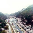 산꽃미술관 이미지