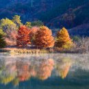 시가곡 | The Lake Isle of Innisfree (이니스프리 호수의 섬) 이미지