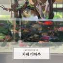 담양 더하루 수족관 대형카페 / 아이랑 가기 좋은곳