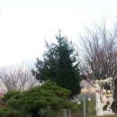 스완레스토랑 이미지