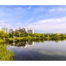 상동호수공원 이미지