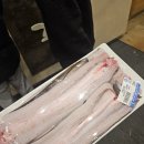 장어의 꿈 이미지