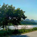 나무와색연필 이미지