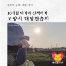 토당동 능곡중학교 진입 도로 | [여행] 10개월 아기와 대장천습지 산책할만할까? 주차장 찾아가기 (자세한 정보)