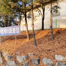 용인실내게이트볼장 이미지